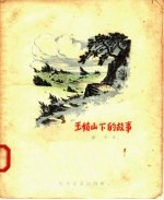 玉姑山下的故事 封面