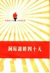 洞庭湖畔四十天 封面