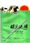 战马驰骋  短篇小说集 封面