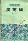 风雨旗 封面