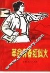 革命青春红似火 封面