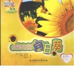太阳之花向日葵 封面