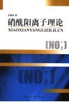 硝酰阳离子理论 封面