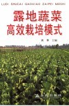 露地蔬菜高效栽培模式 封面
