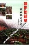 保护地蔬菜高效栽培模式 封面