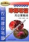 珍稀石榴无公害栽培 封面