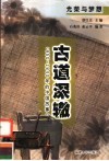 古道深辙  960-1840年的中国故事 封面