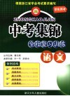 中考集锦  全程复习训练  适用于人教版教材  语文 封面