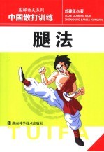 中国散打训练  腿法 封面