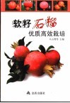 软籽石榴优质高效栽培 封面