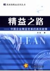 精益之路  中国企业精益变革的真实故事 封面