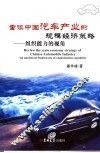 重读中国汽车产业的规模经济策略 组织能力的视角 an analytical framework of organization capability 封面