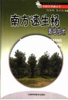 南方速生杨栽培技术 封面