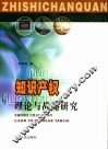 知识产权-理论与战略研究 封面