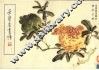 荣宝斋画谱  98  写意花鸟部分 封面