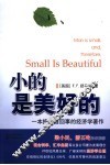 小的是美好的 一本把人当回事的经济学著作 a study of economics as if people 封面