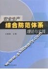 安全生产综合防范体系理论与实践 封面