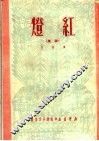 红灯  诗集 封面
