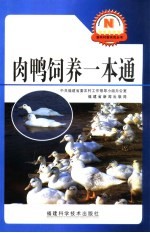 肉鸭饲养一本通 封面
