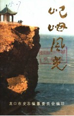 屺（山母）风光 封面