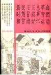 新民主主义革命时期甘肃共青团和甘肃青年运动 封面