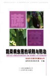 蔬菜病虫害的识别与防治 封面