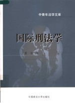 国际刑法学 封面