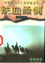 铁血柔情  军警之页 封面