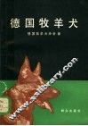 德国牧羊犬 封面
