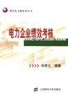 电力企业绩效考核  战略的视角 封面