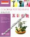 五彩盆栽 封面