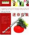 迷你盆栽 封面