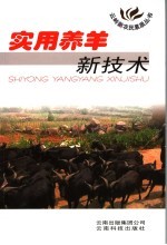 实用养羊新技术 封面