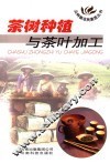 茶树种植与茶叶加工 封面