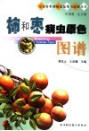柿和枣病虫原色图谱 封面