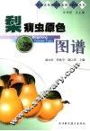 梨病虫原色图谱 封面
