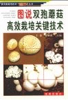 图说双孢菇高效栽培关键技术 封面