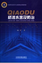 桥渡水害及防治 封面