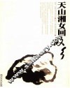 天山湘女回故乡 封面
