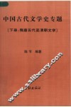 中国古代文学史专题  下  隋唐五代至清朝文学 封面