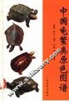 中国龟鳖类原色图谱 封面