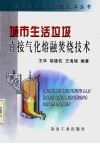 城市生活垃圾直接气化熔融焚烧技术 封面