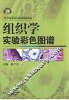 组织学实验彩色图谱 封面