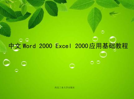 中文Word 2000、Excel 2000应用基础教程 封面