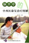 脑卒中的中西医康复治疗图解 封面