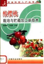 酸樱桃栽培与贮藏加工新技术 封面