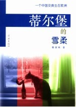 蒂尔堡的雪柔  一个中国交换生在欧洲 封面