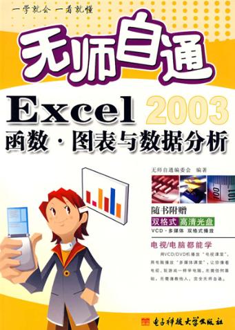 无师自通Excel函数·图表与数据分析 封面