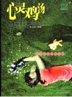心灵鸡汤  吻银版炫亮珍藏本 封面