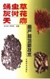 蛹虫草  灰树花  天麻高产栽培新技术 封面